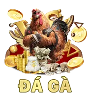 Công cụ quản lý cookie cho người dùng rrr88